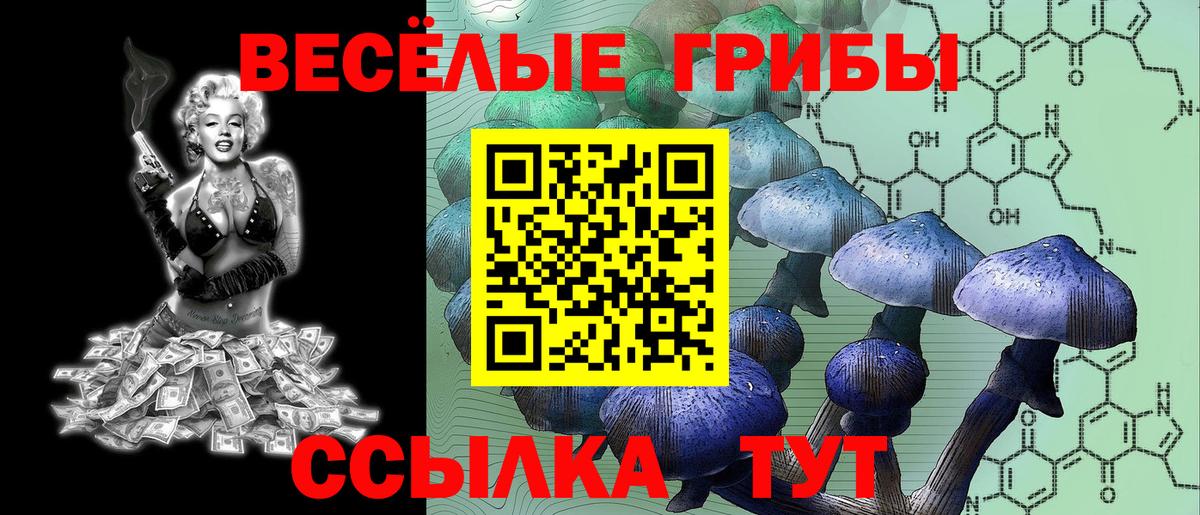 Заринск  Галлюциногенные грибы ЛСД  Вход с VPN 